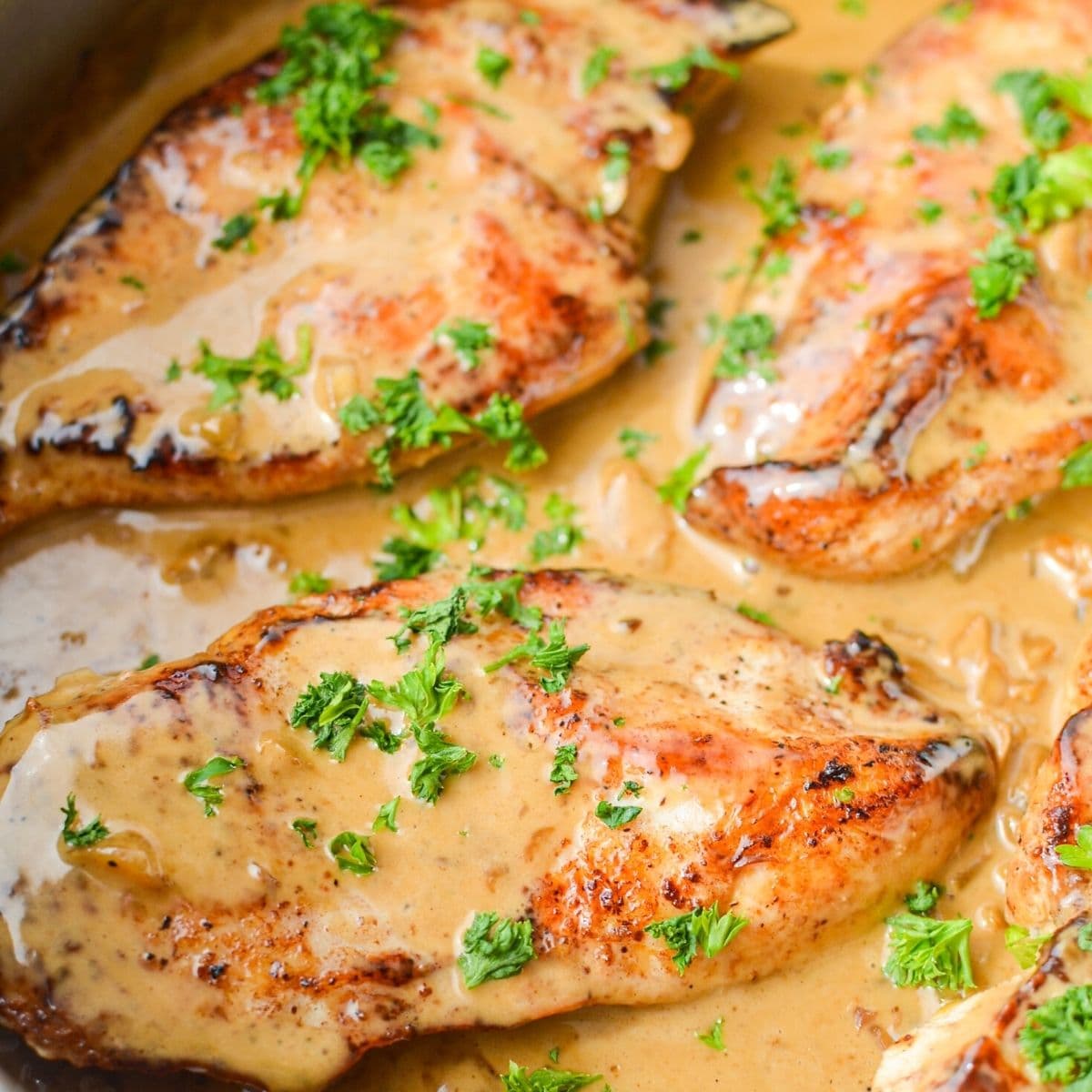 One Pan Creamy Garlic Chicken