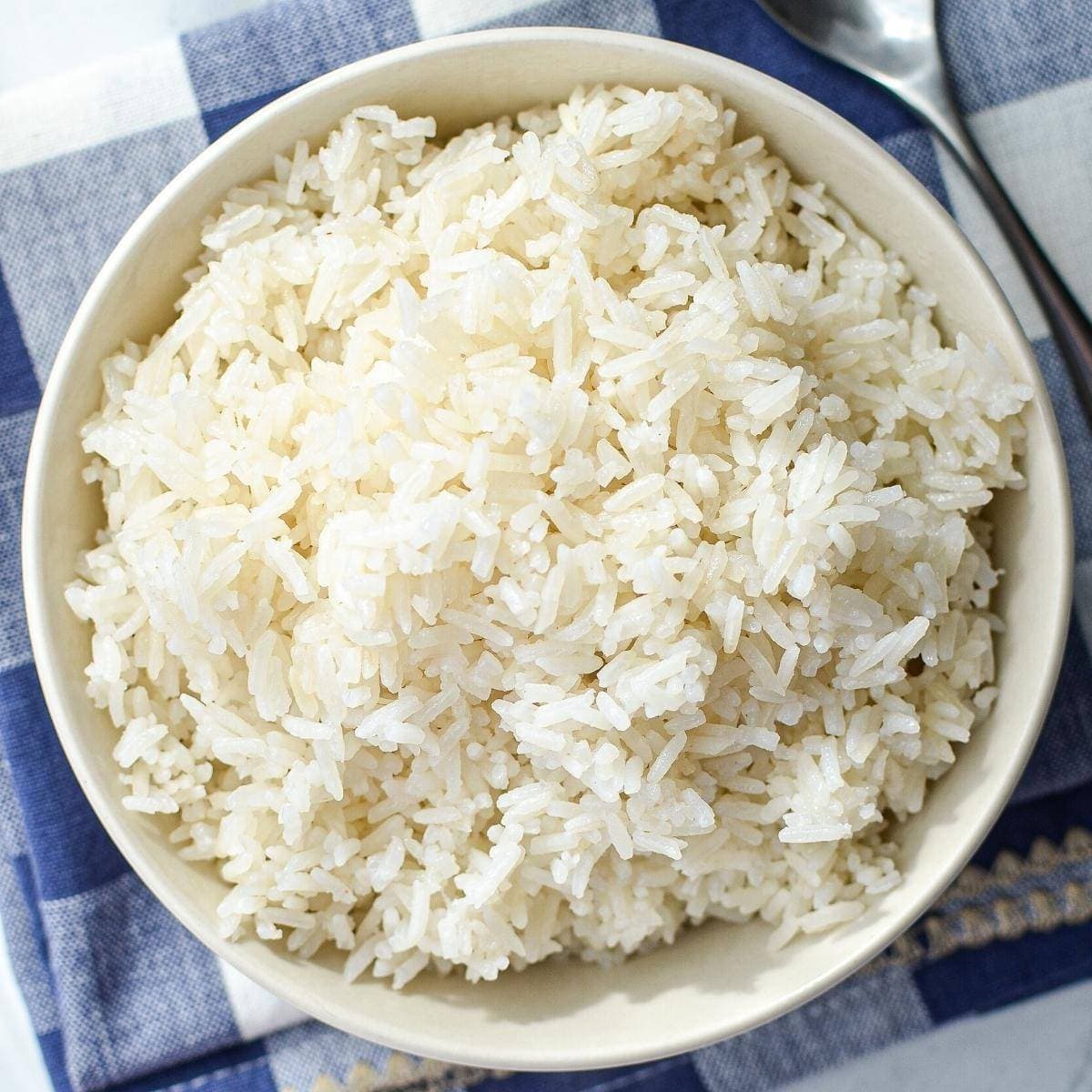 Instant Pot White Rice