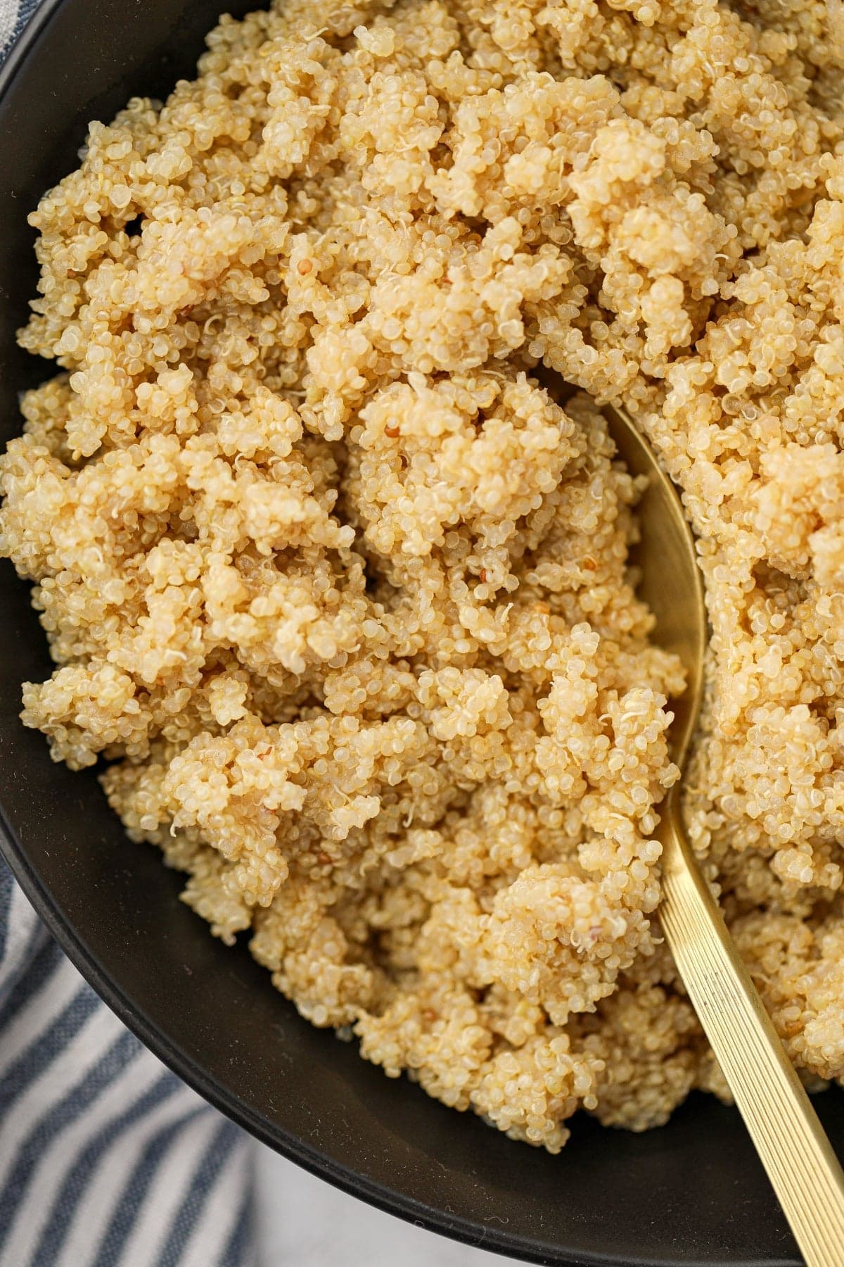 Instant Pot Quinoa