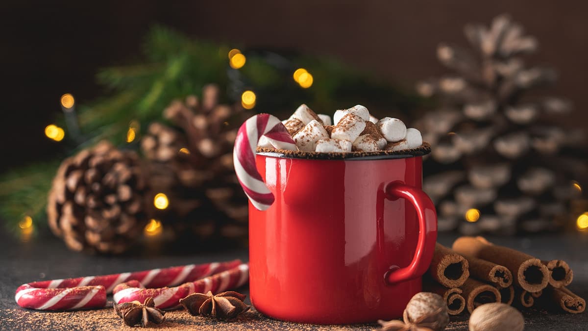 Nos boissons chaudes et réconfortantes pour Noël
