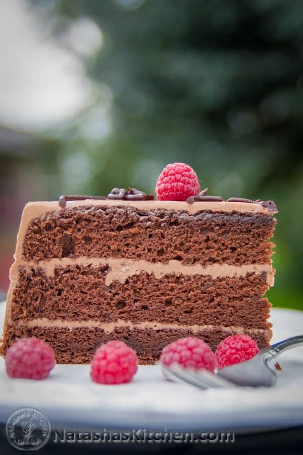 Chocolate Raspberry Cake Recipe (Prague Cake)