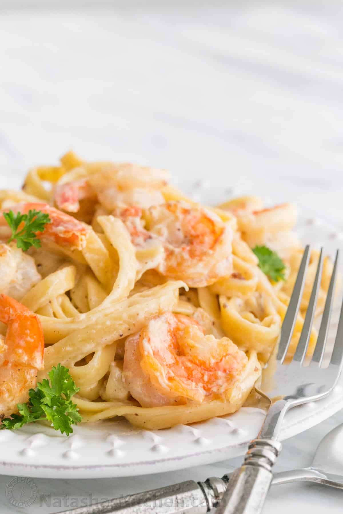 Shrimp Alfredo Pasta Recipe