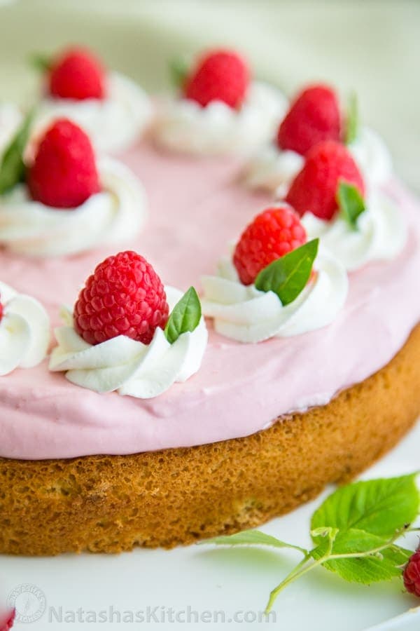 Raspberry Mousse Cake