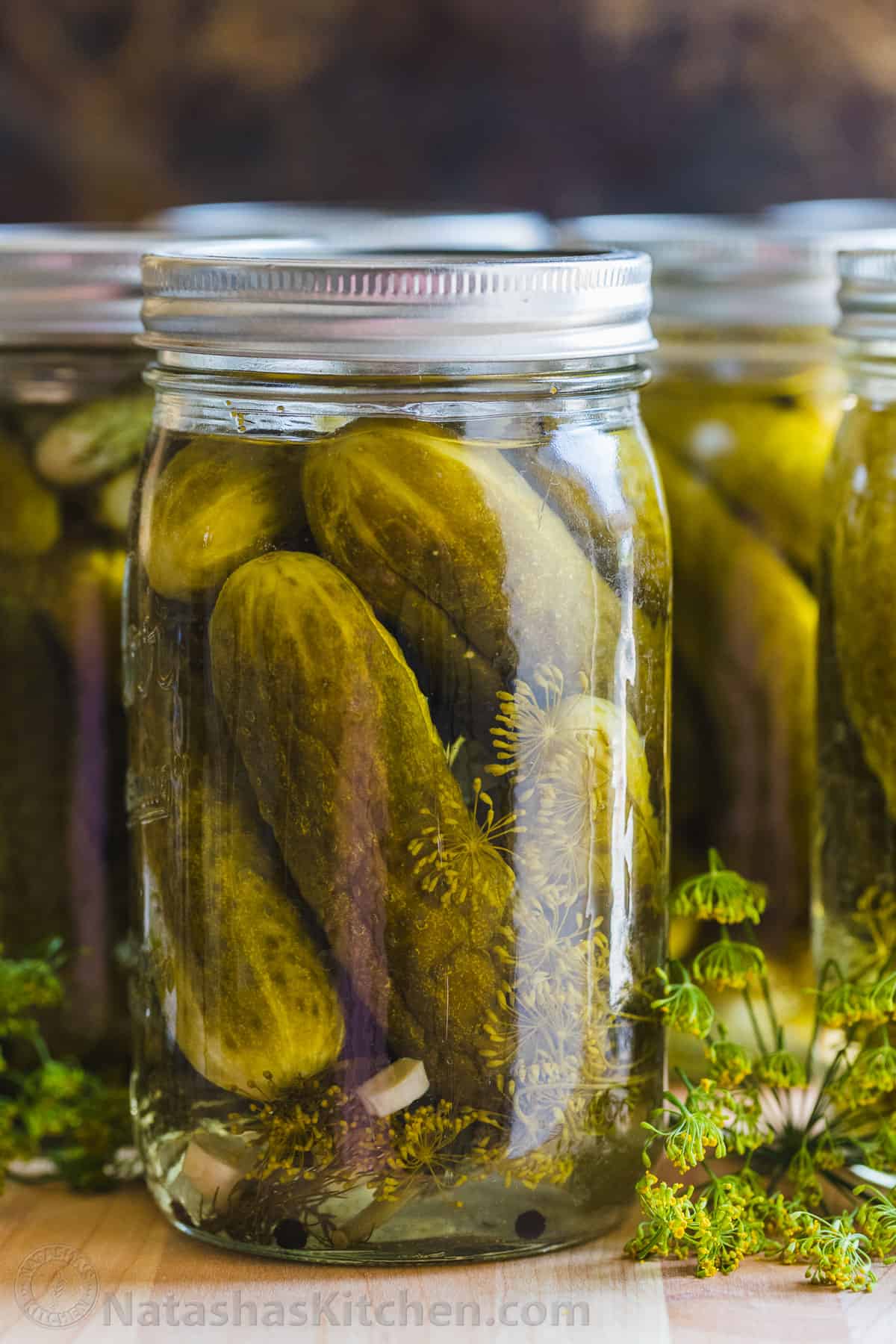 Canned Dill Pickle Recipe