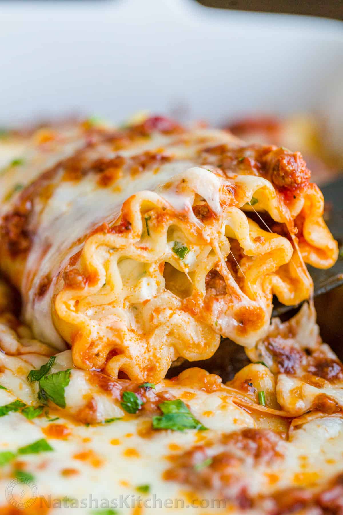 Lasagna Roll Ups