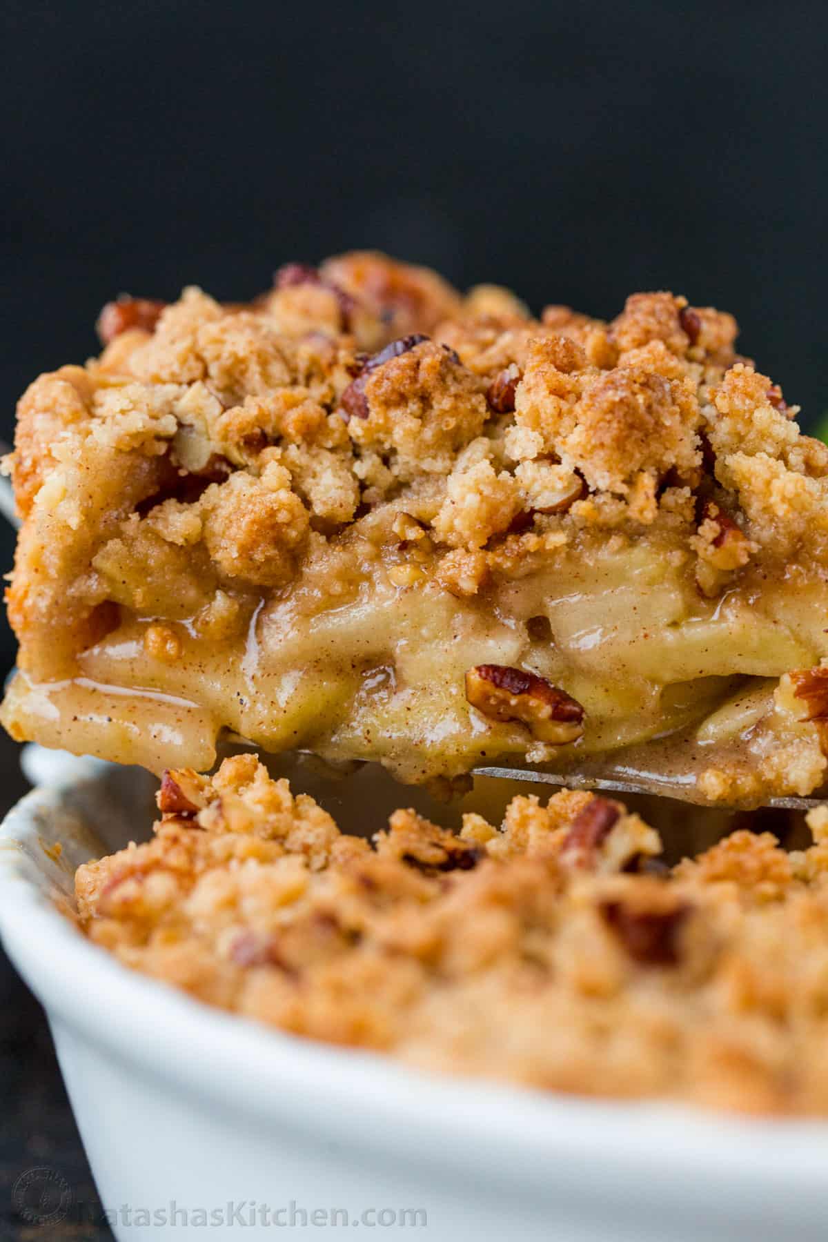 Dutch Apple Pie Recipe (Apple Crumb Pie)