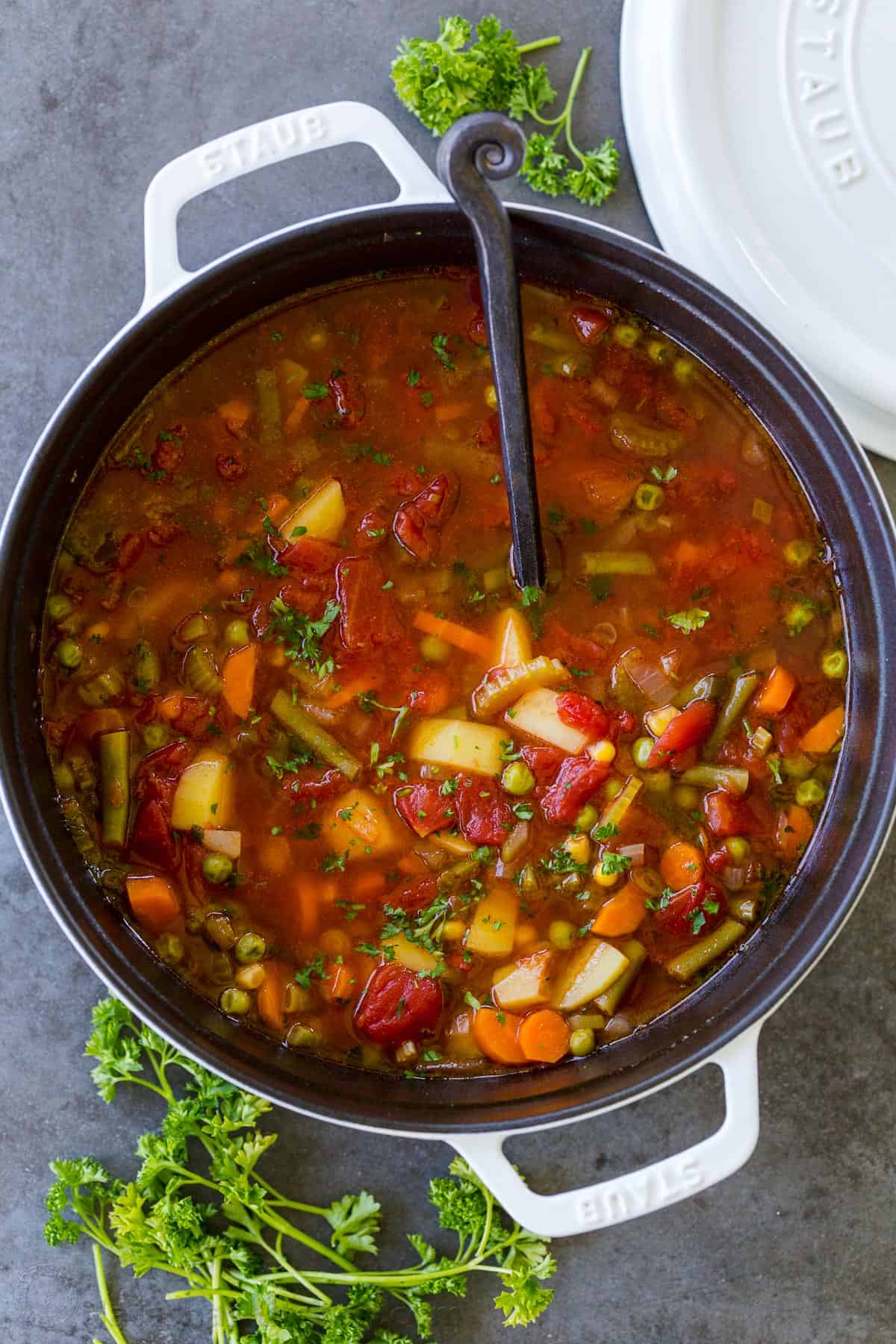 Easy Vegetable Soup Recipe