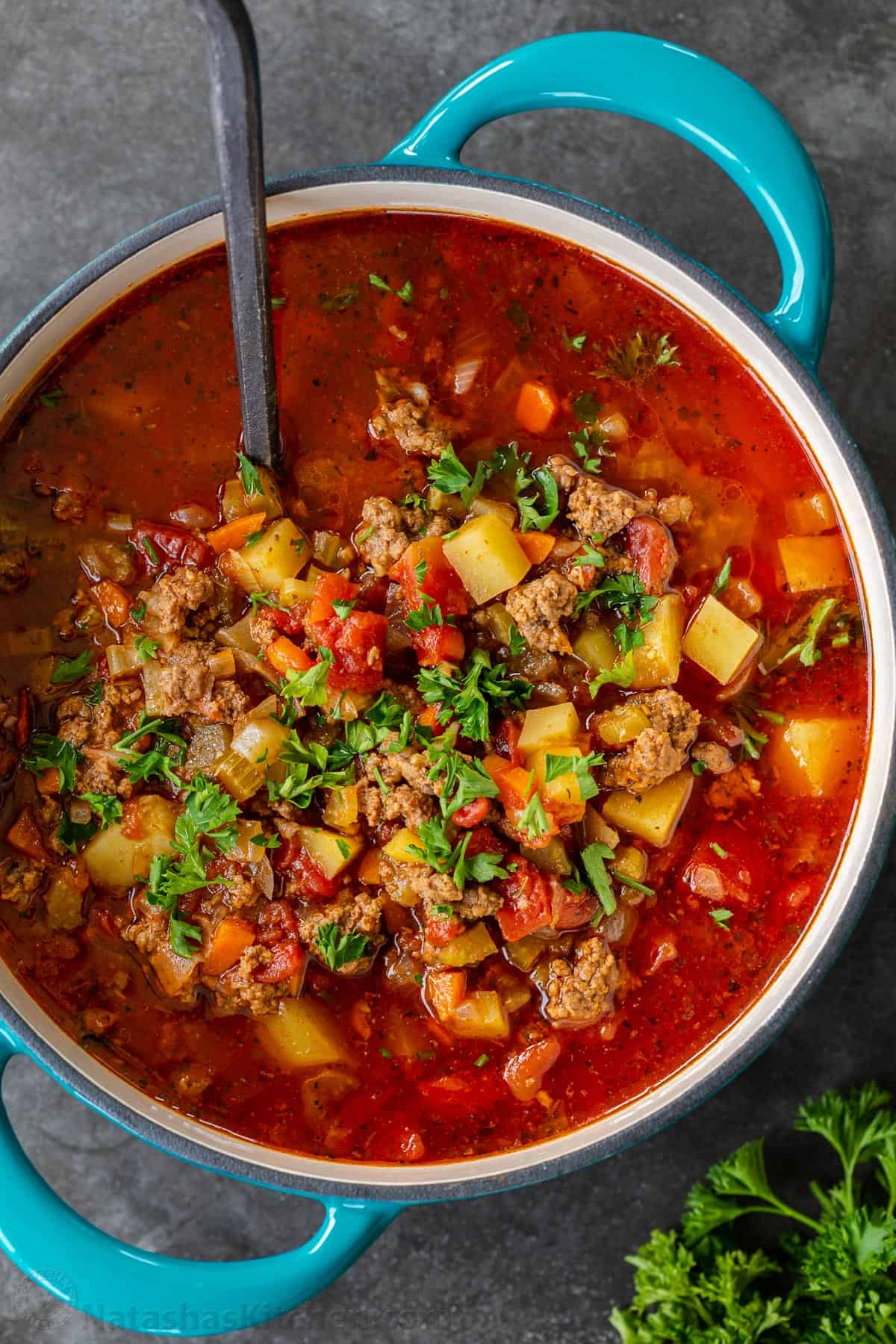 Hamburger Soup Recipe