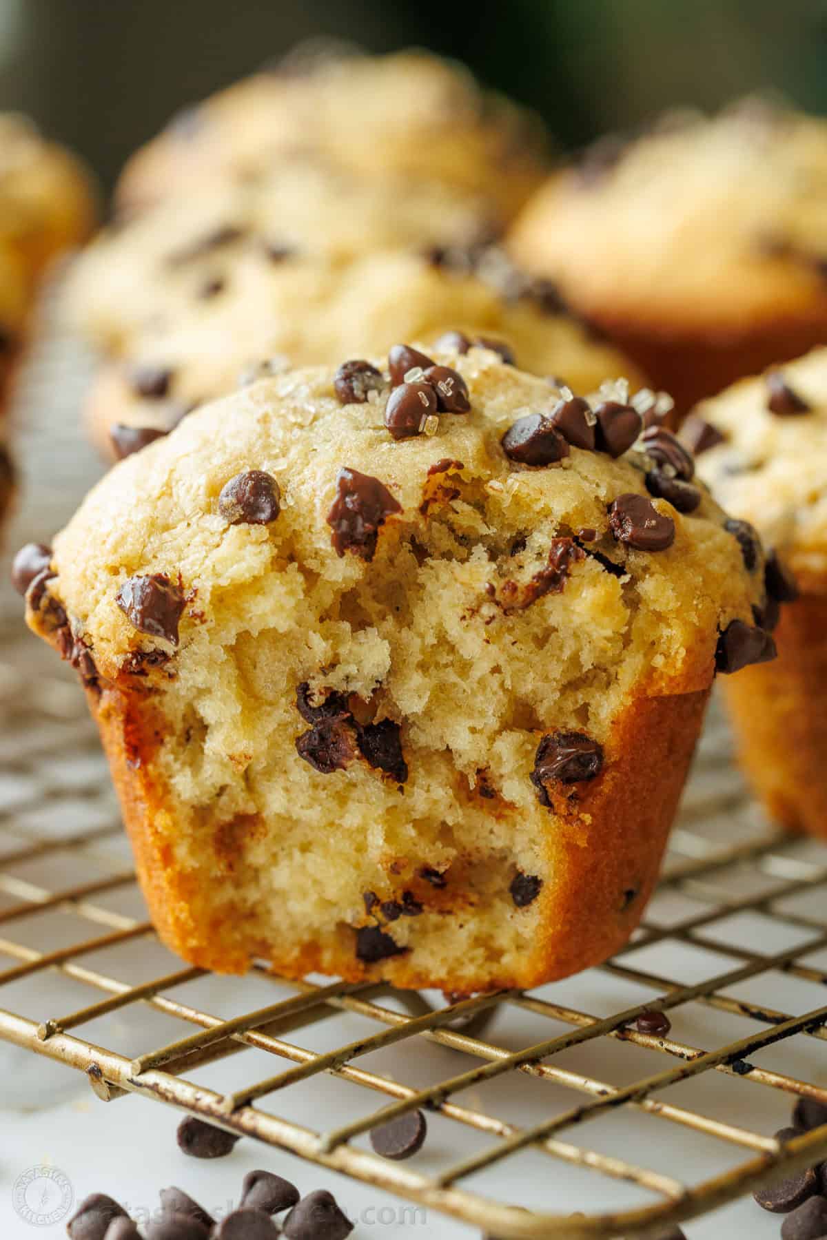 Chocolate Chip Muffins (Bakery Style)