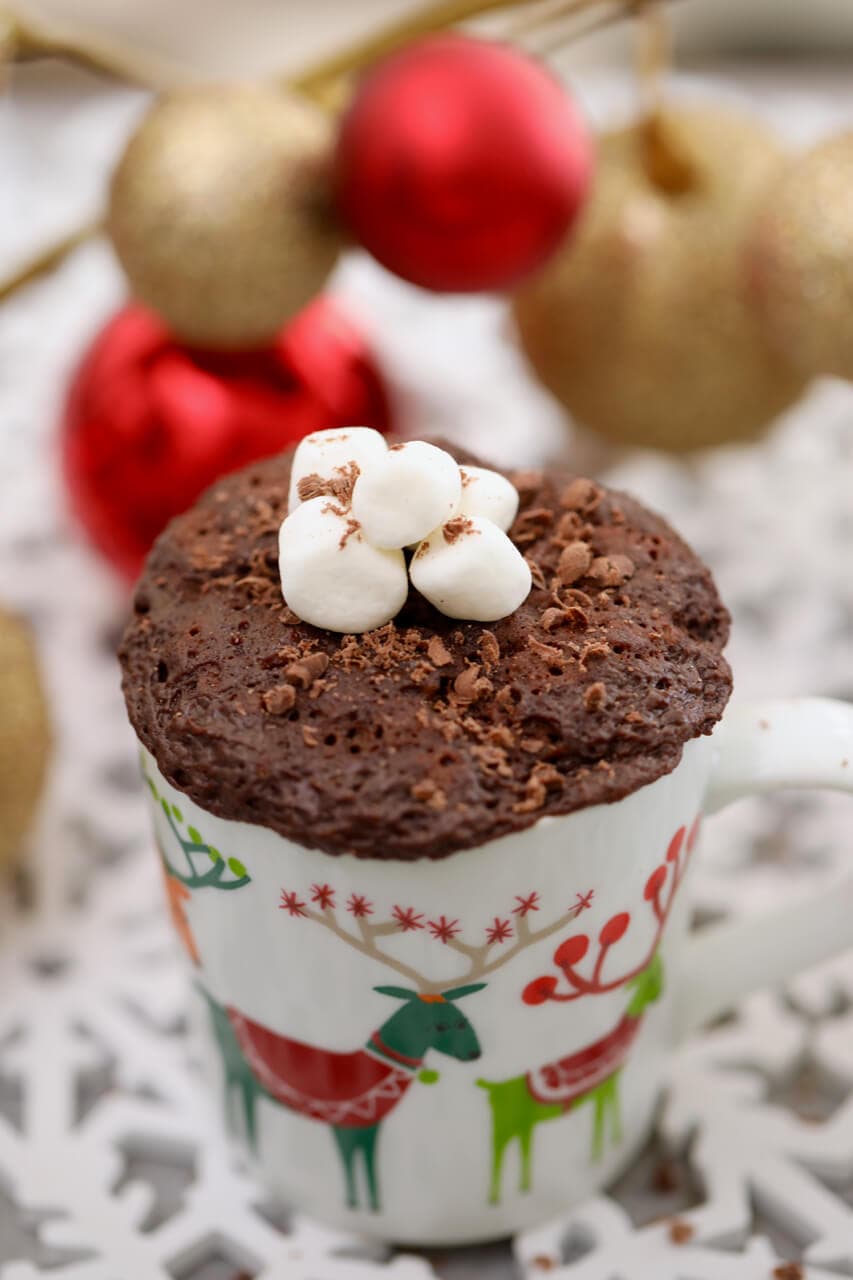 Hot Chocolate Mug Cake