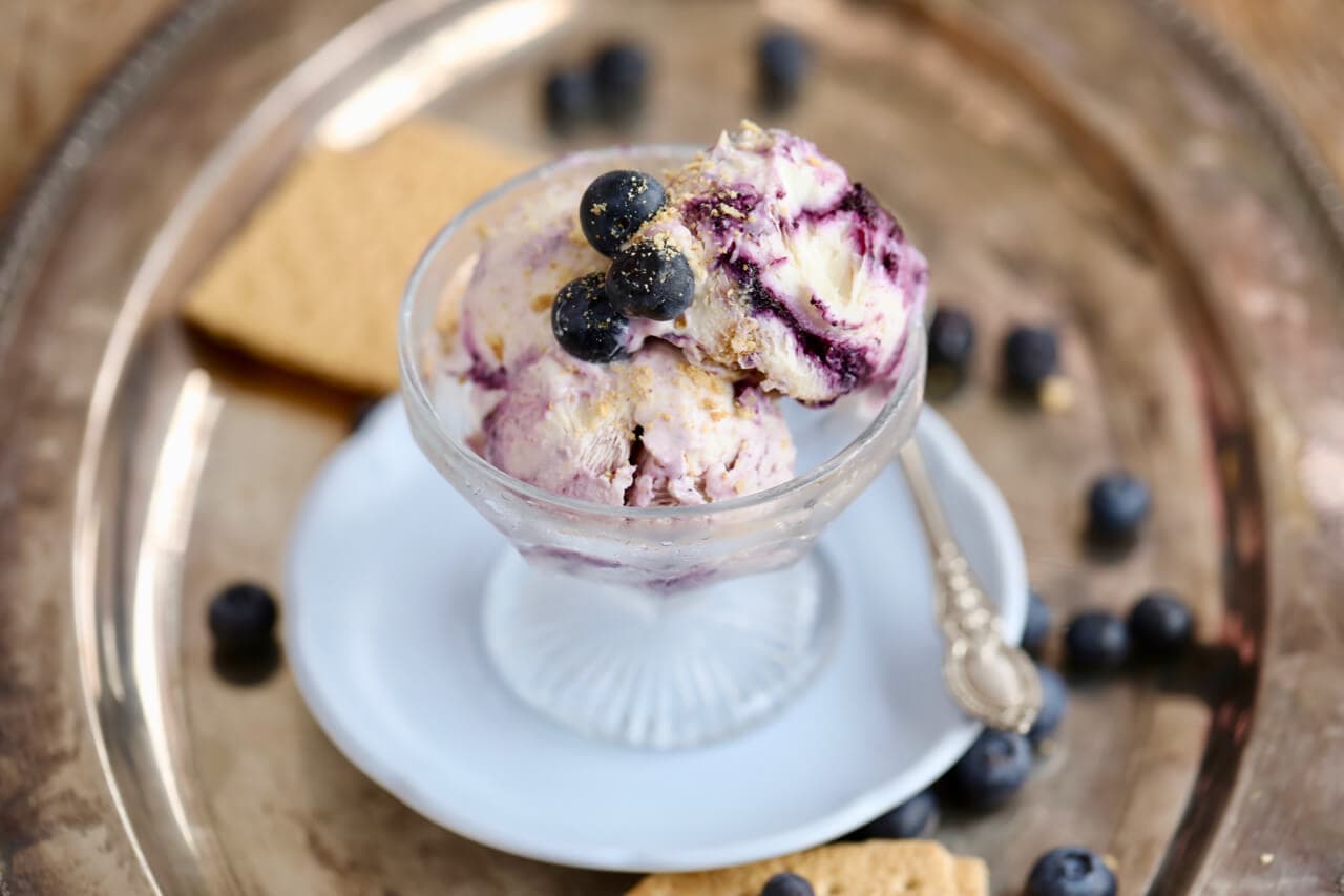 Blueberry Cheesecake Frozen Yogurt