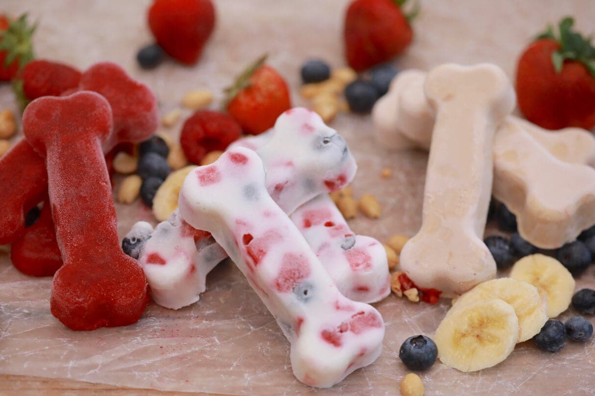 Chicken and Raspberry Dog Treats Recipe