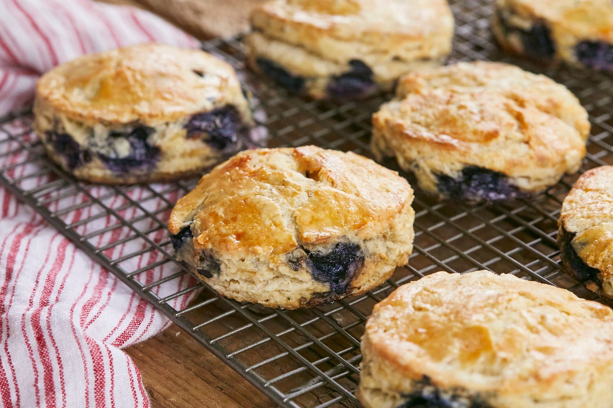 Fresh Blueberry Scones