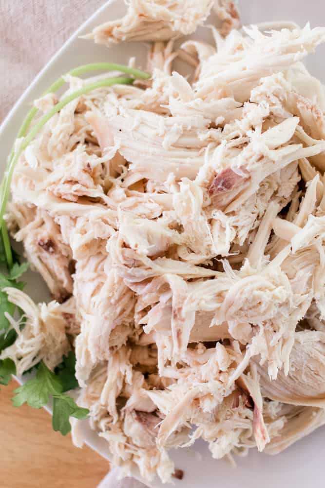 Dutch Oven Pulled Chicken