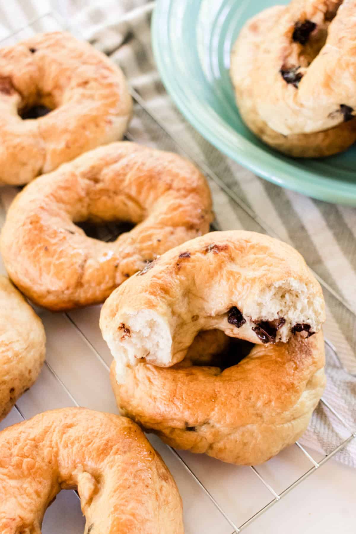 Chocolate Chip Bagels