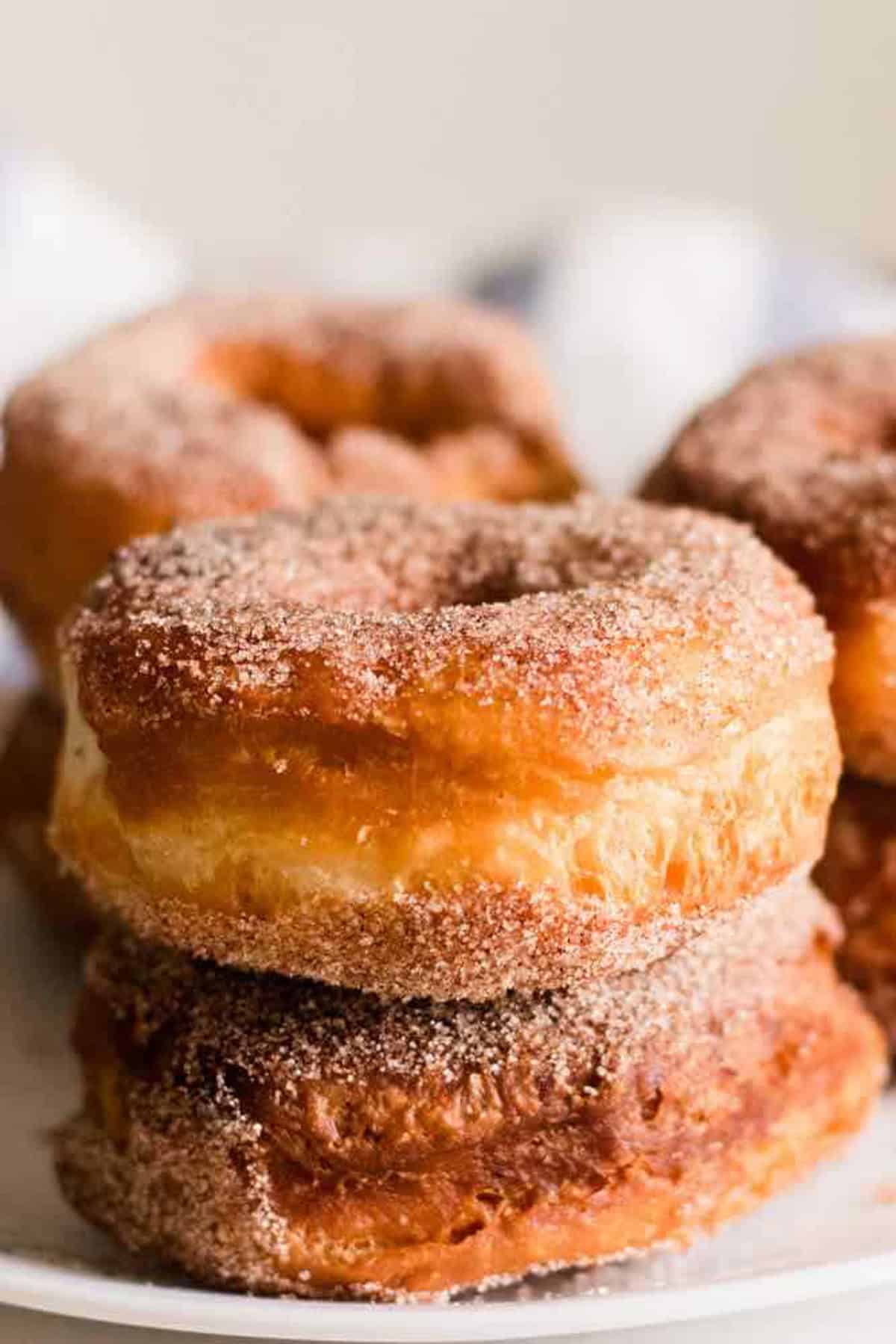 Cinnamon Sugar Donuts