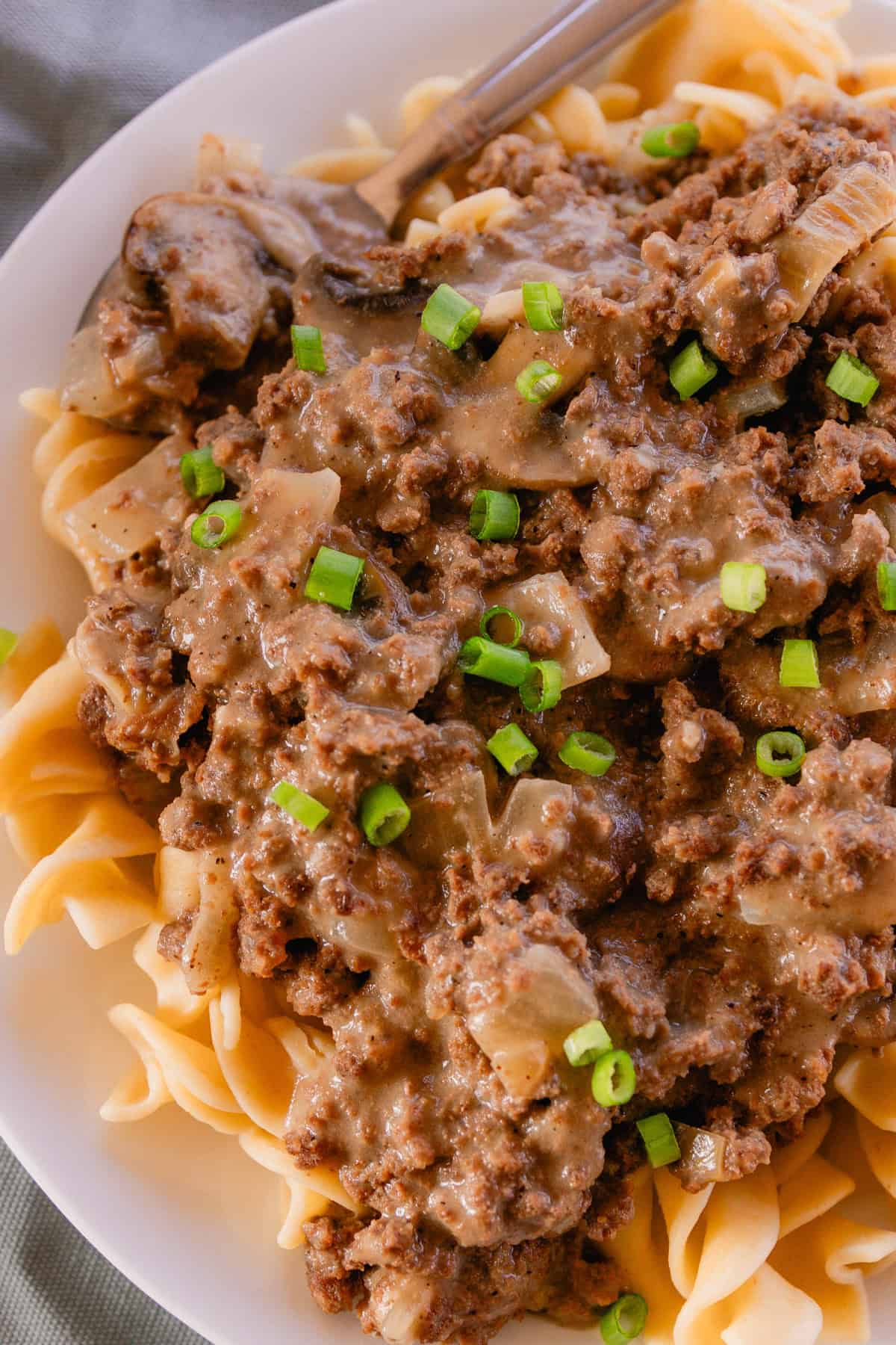 Ground Venison Stroganoff