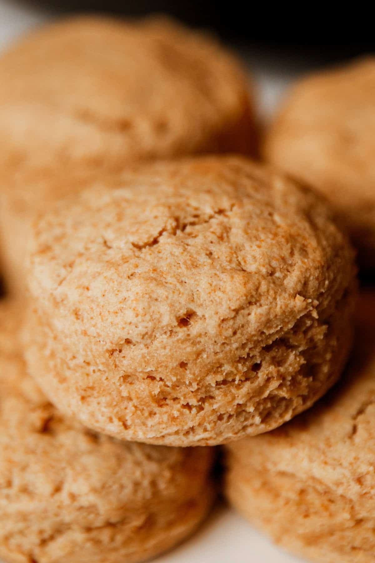 Homemade Biscuits with Fresh Milled Flour