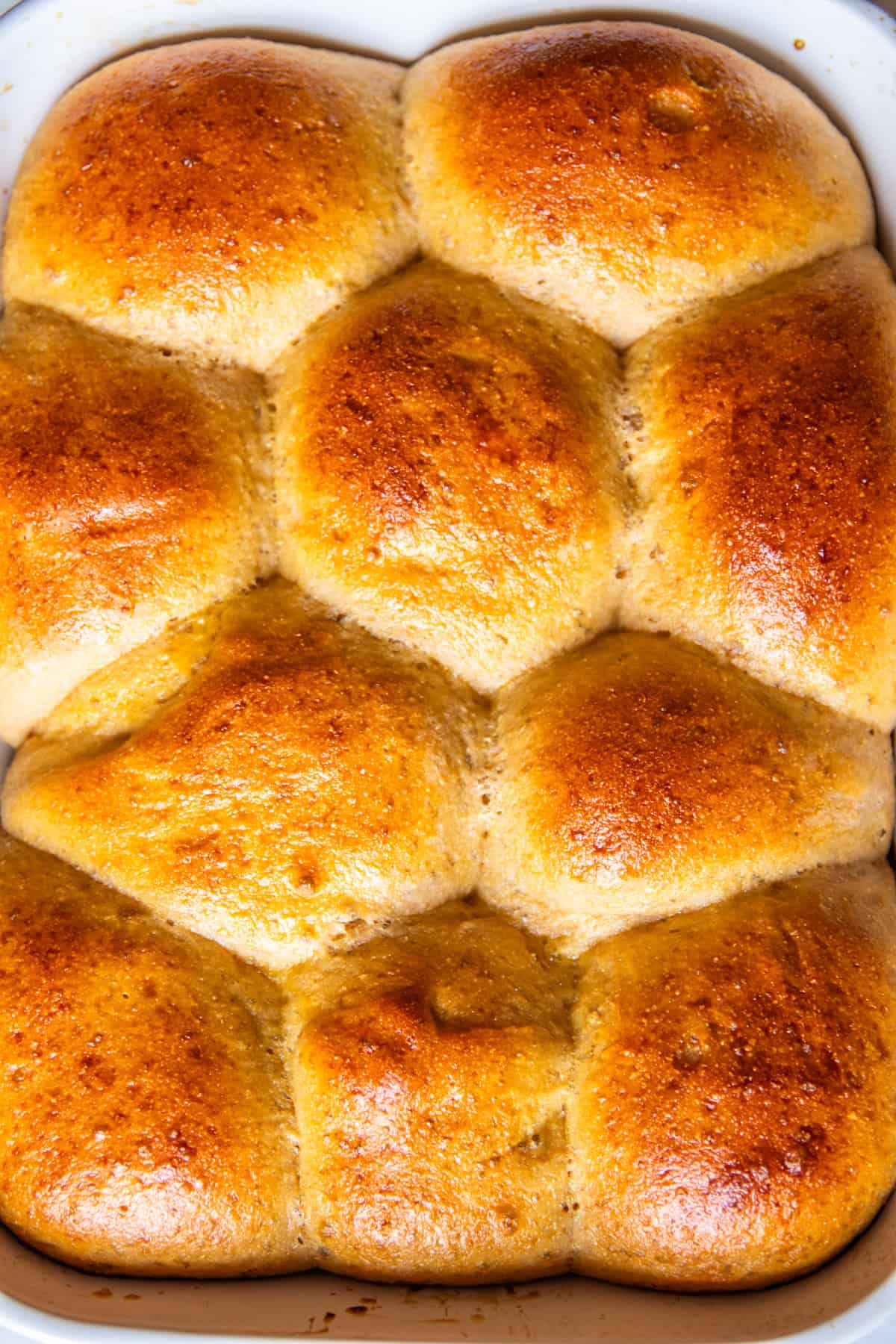 Dinner Rolls with Fresh Milled Flour