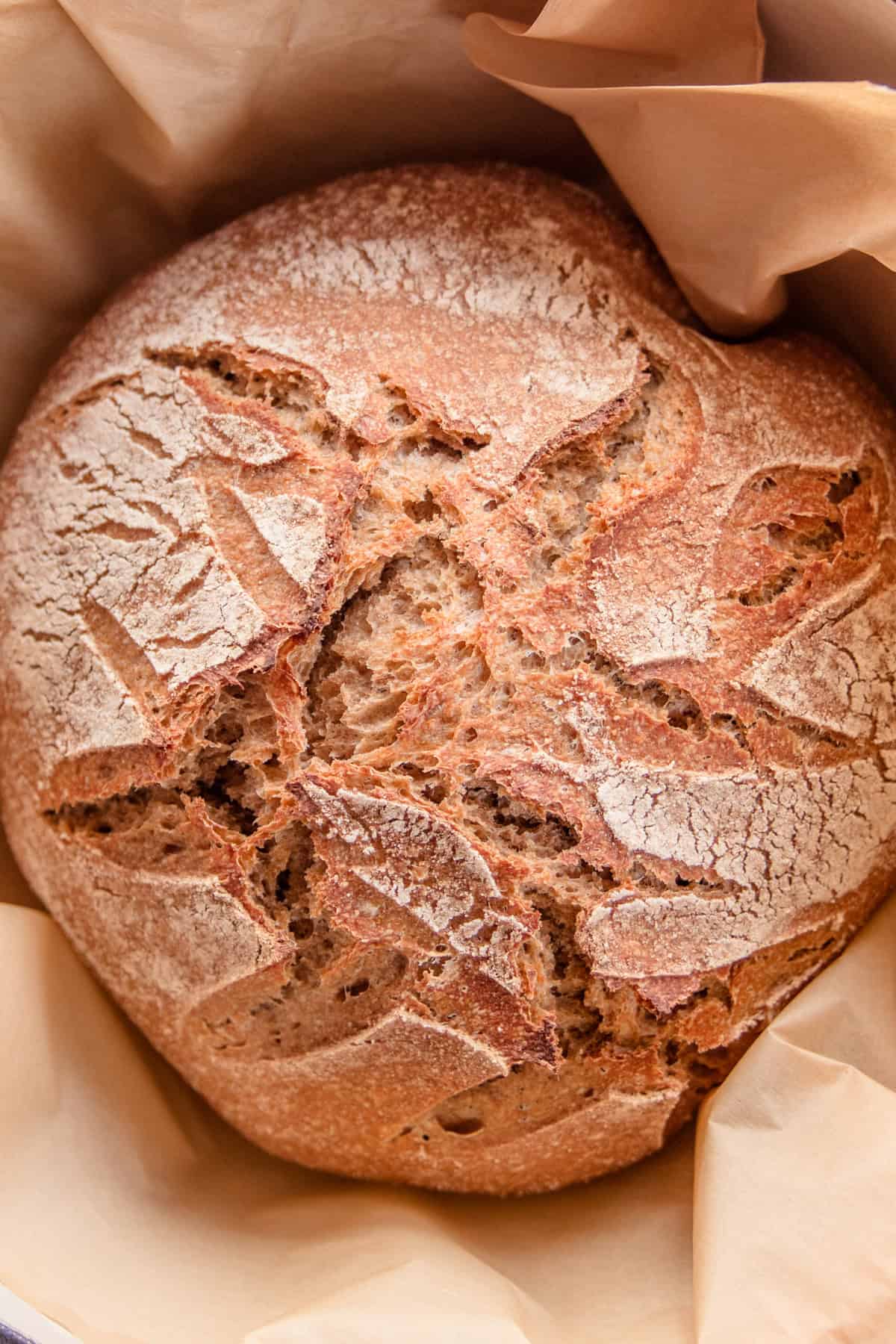 Whole Wheat Artisan Bread