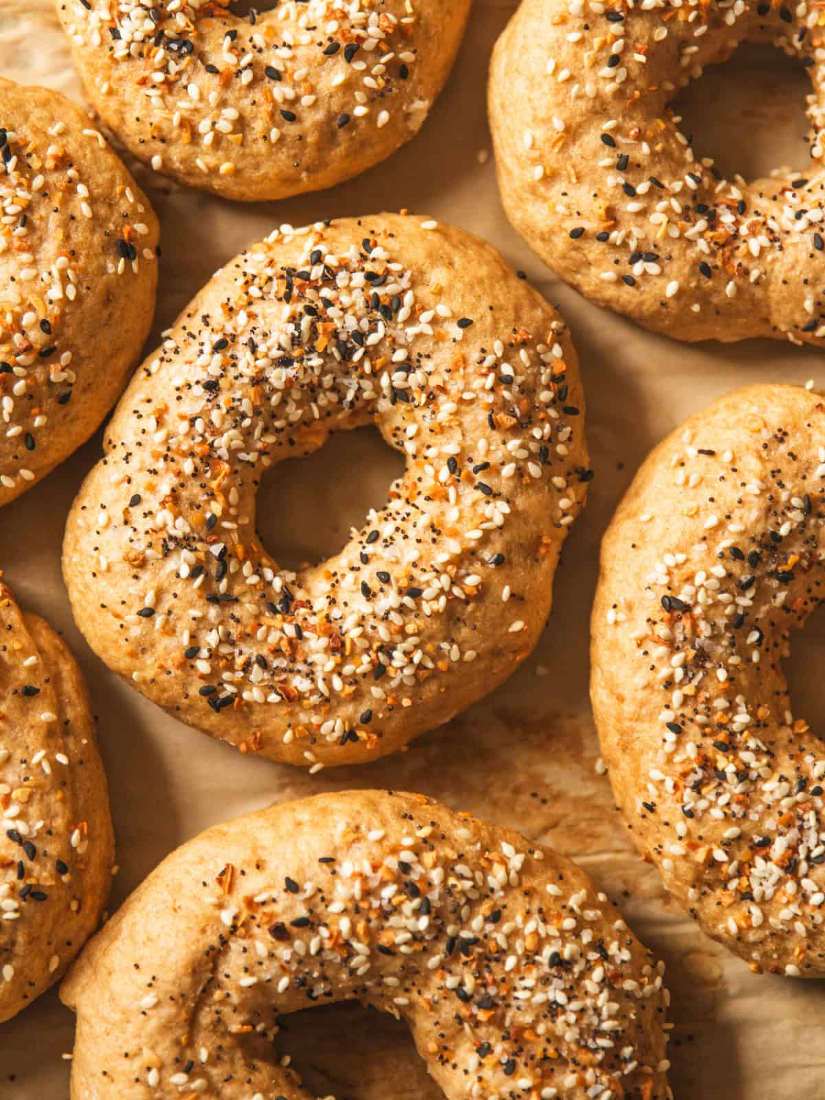 Fresh Milled Bagels with Everything Seasoning