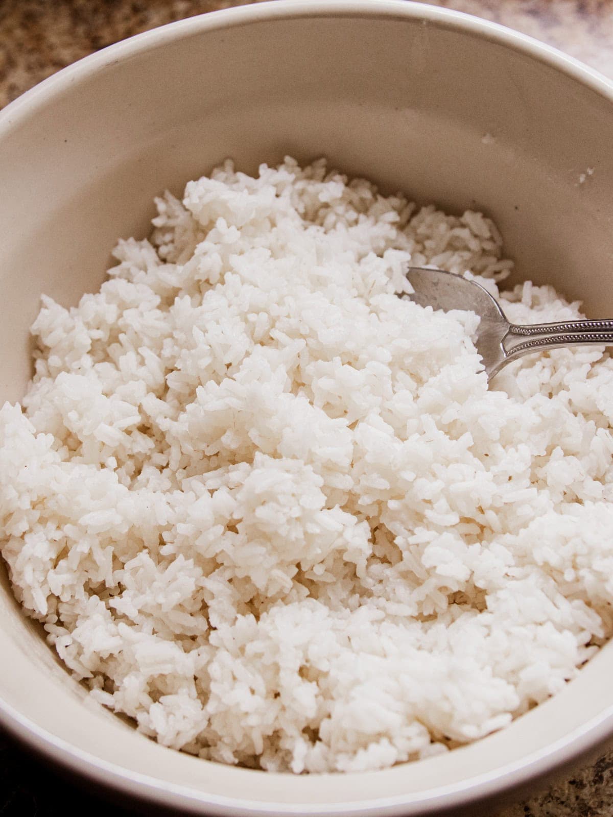 Dutch Oven Rice