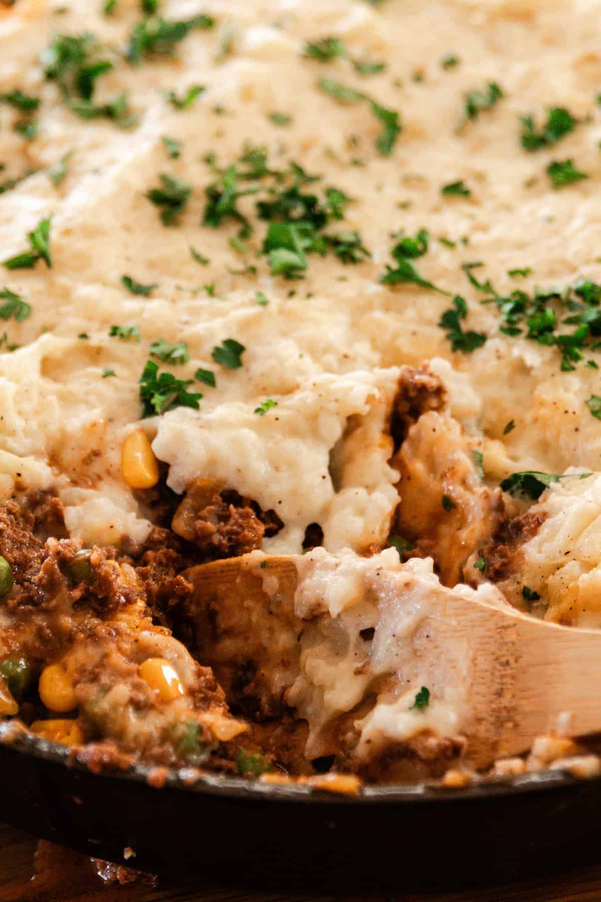Venison Shepherd's Pie