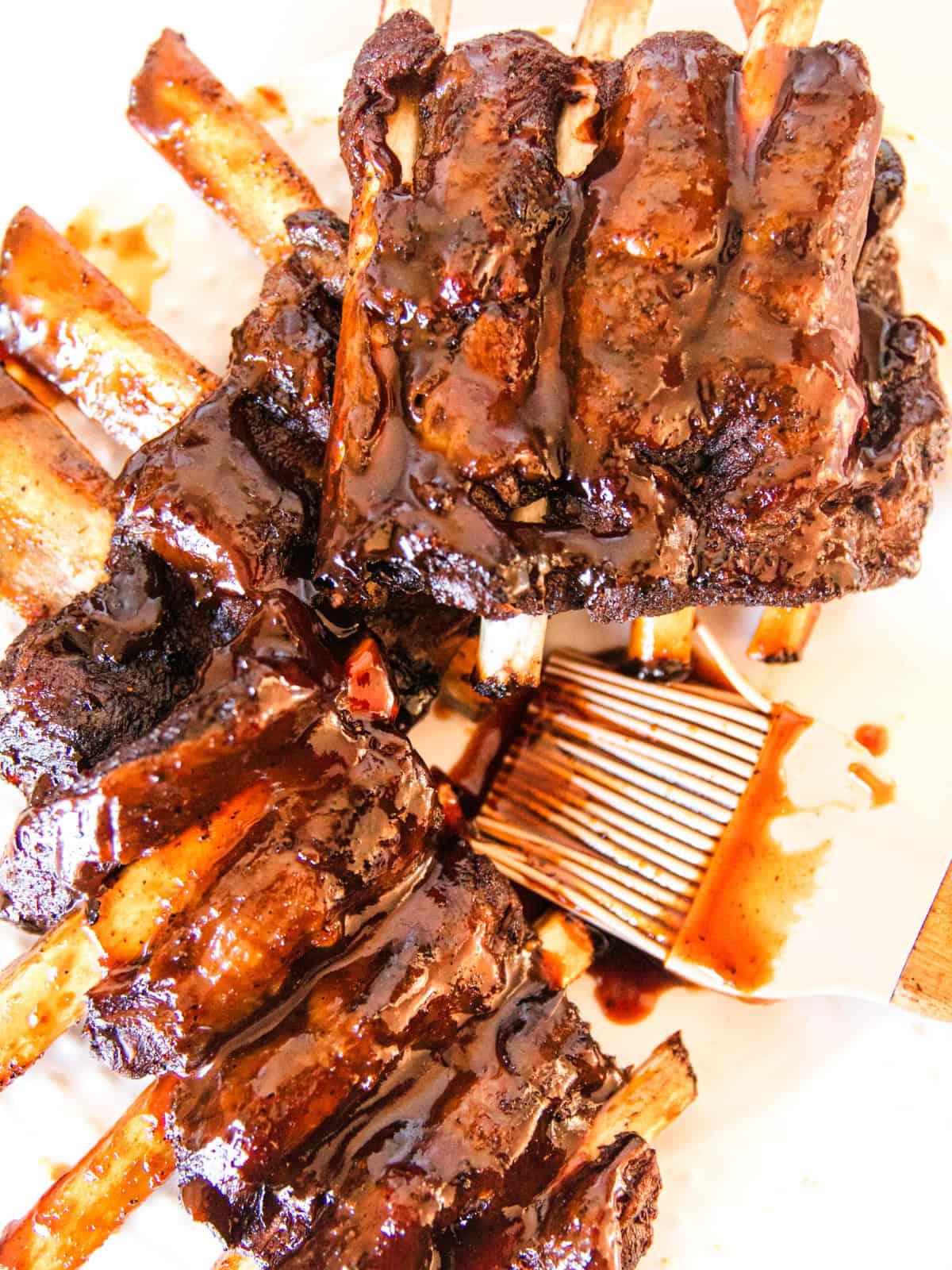 Braised Venison Ribs