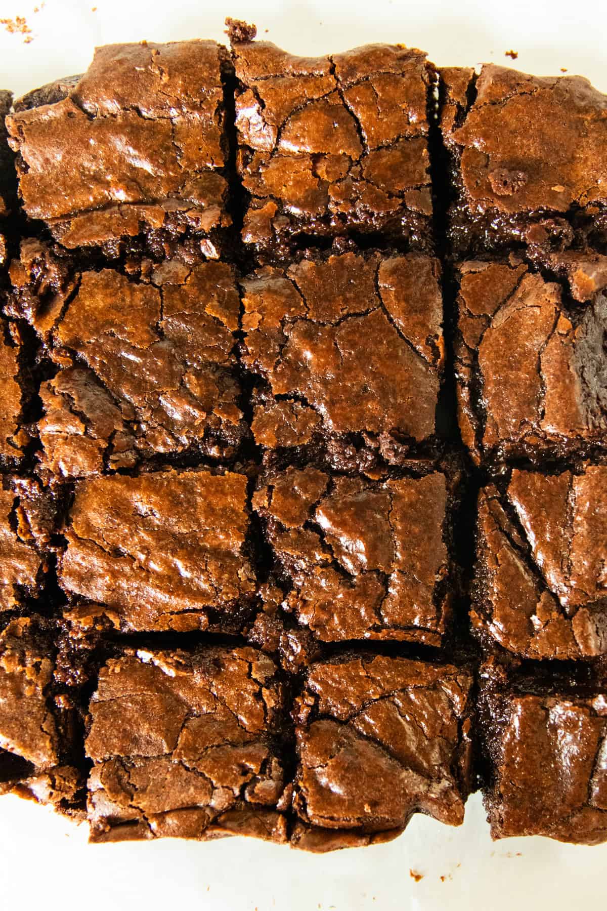 Fudgy Brownies with Fresh Milled Flour