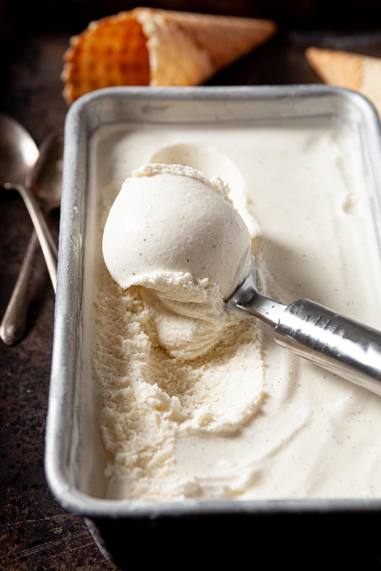 Creamy Vanilla Bean Ice Cream