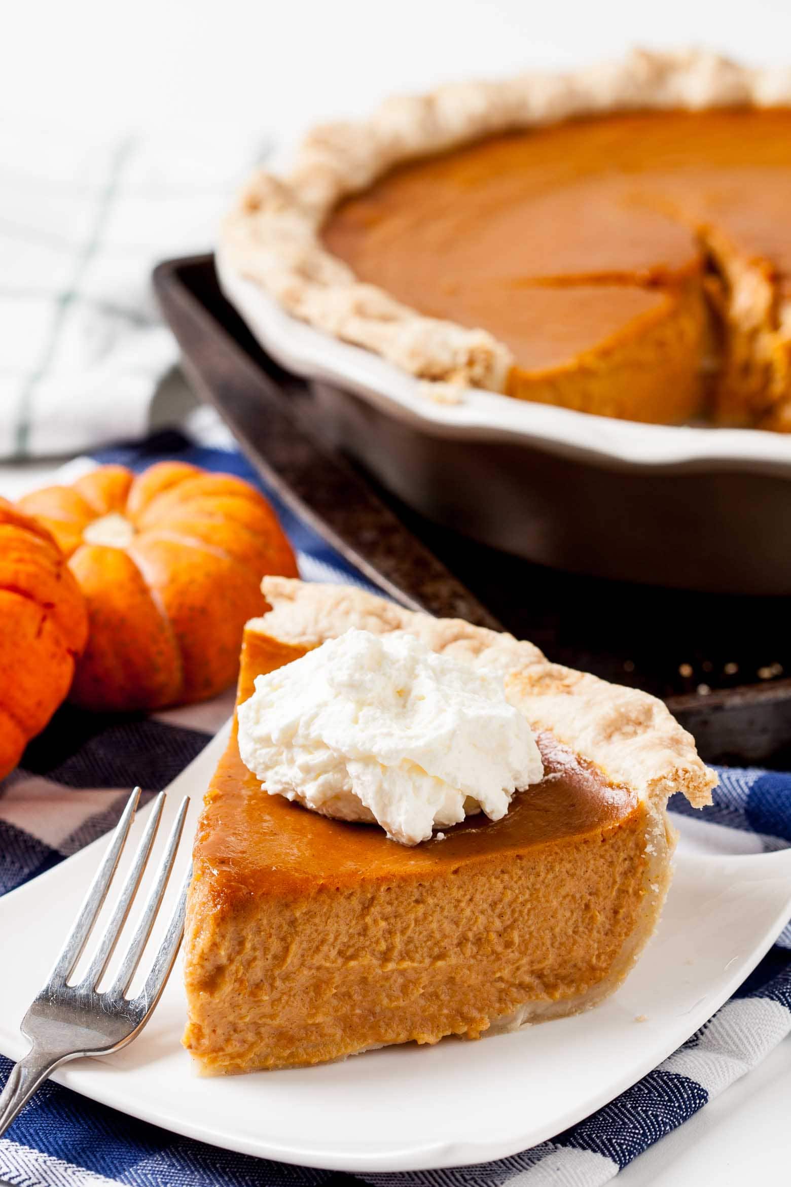 The Best Pumpkin Pie