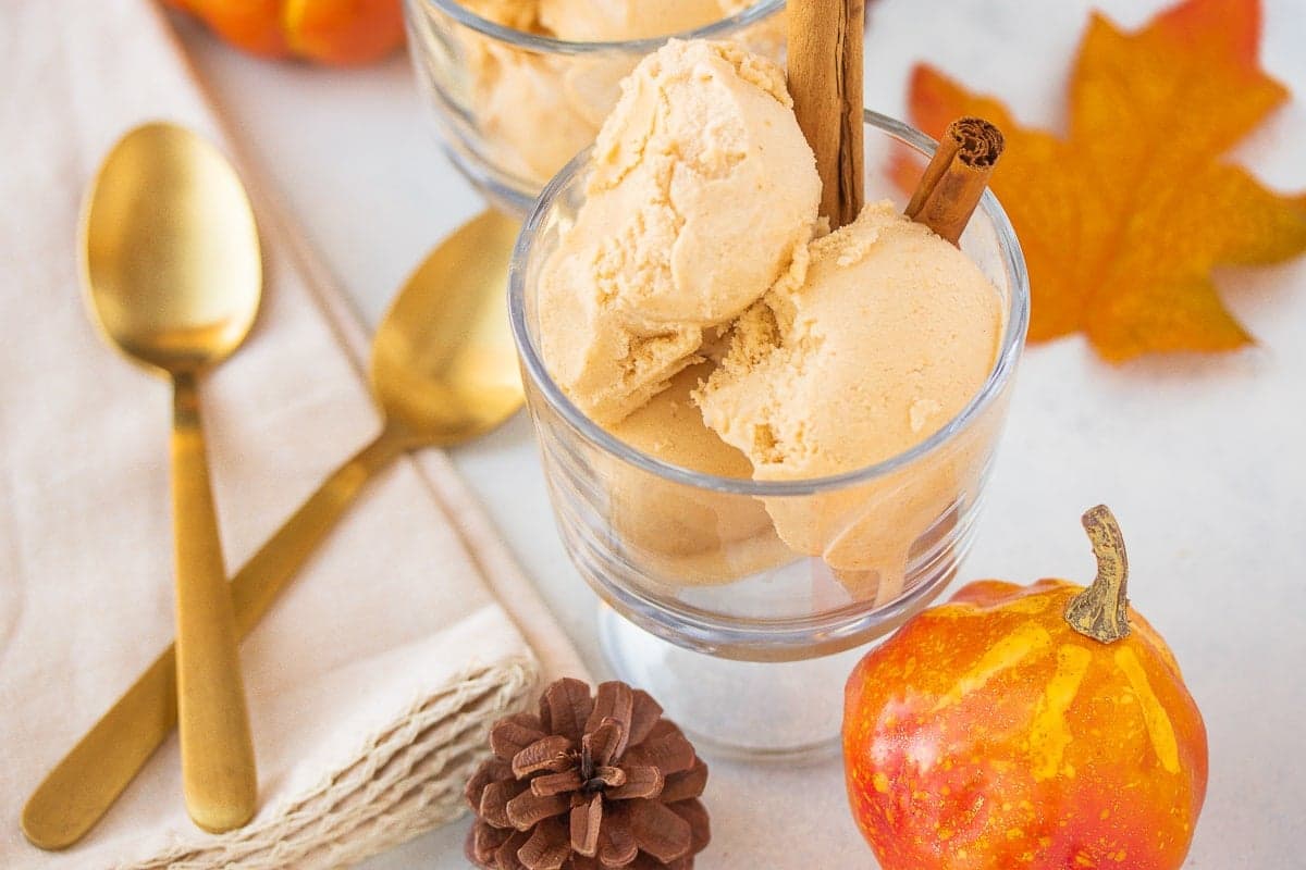 Vegan Pumpkin Ice Cream Recipe