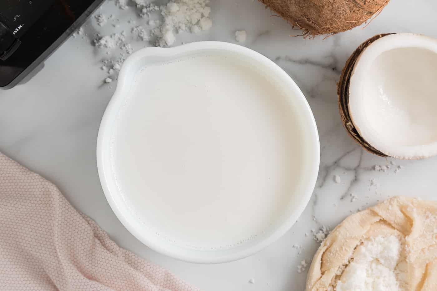 Vitamix Coconut Milk