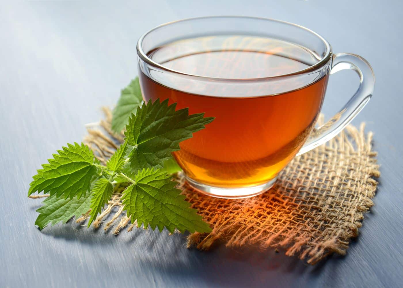 How to Make Mint Tea (Hot or Iced)￼