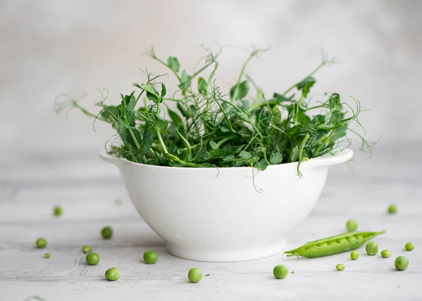 How to Grow Pea Microgreens