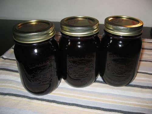 Blueberry Jam