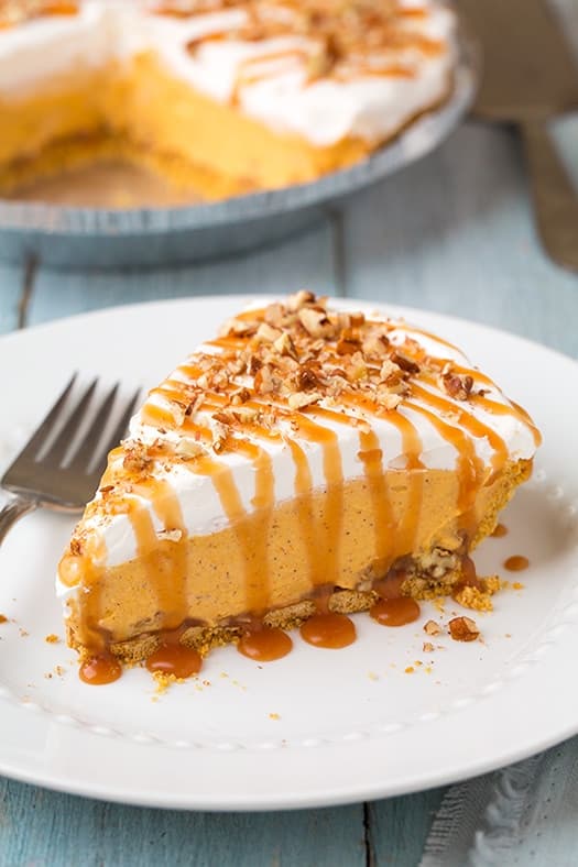 Turtle Pumpkin Pie