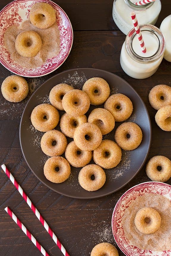 Baked Cinnamon Sugar Mini Donuts