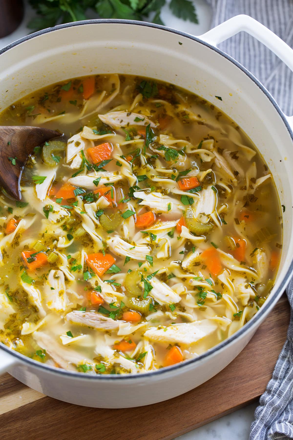 Chicken Noodle Soup