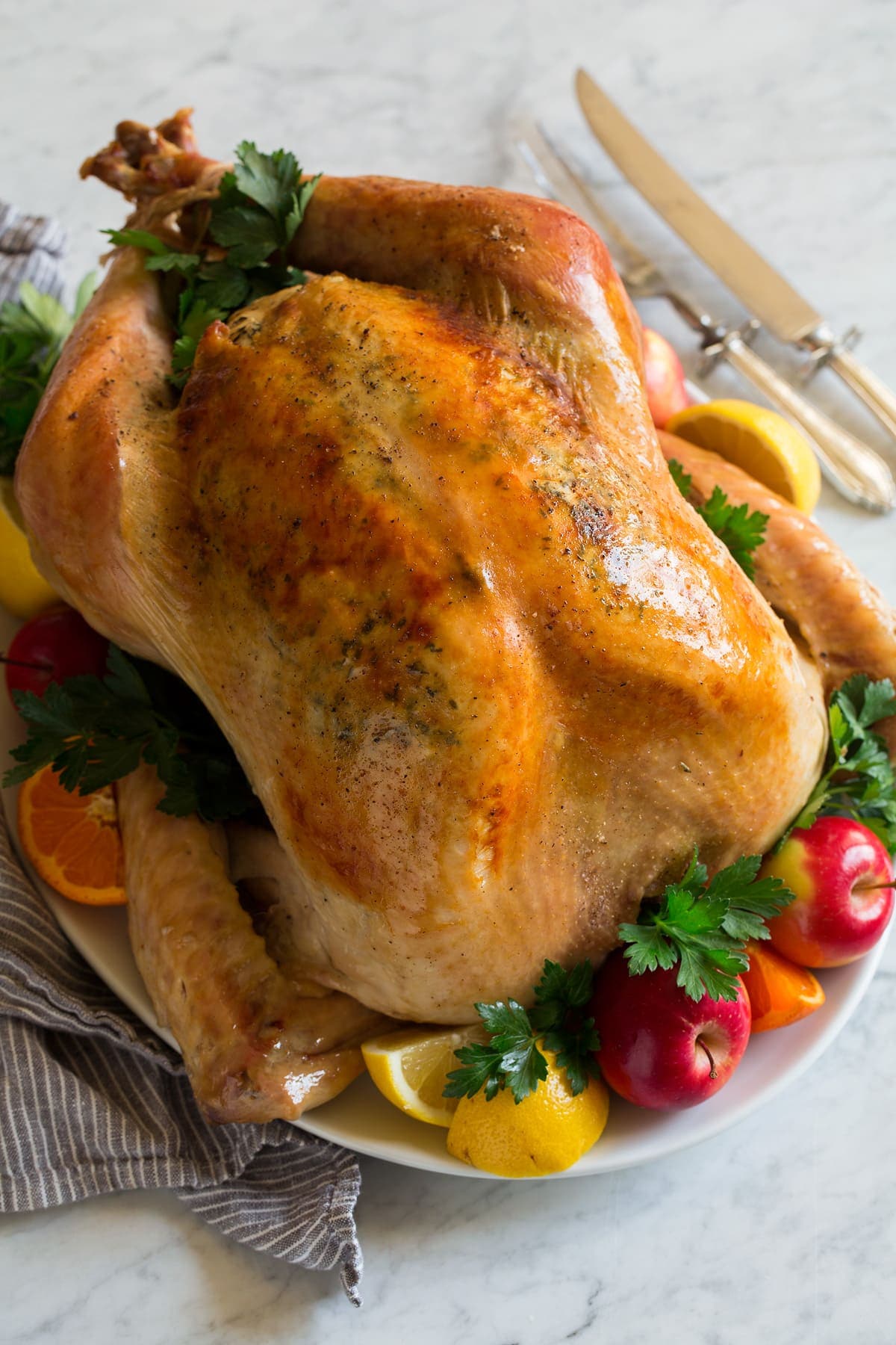 How to Cook Turkey {In an Oven Bag}
