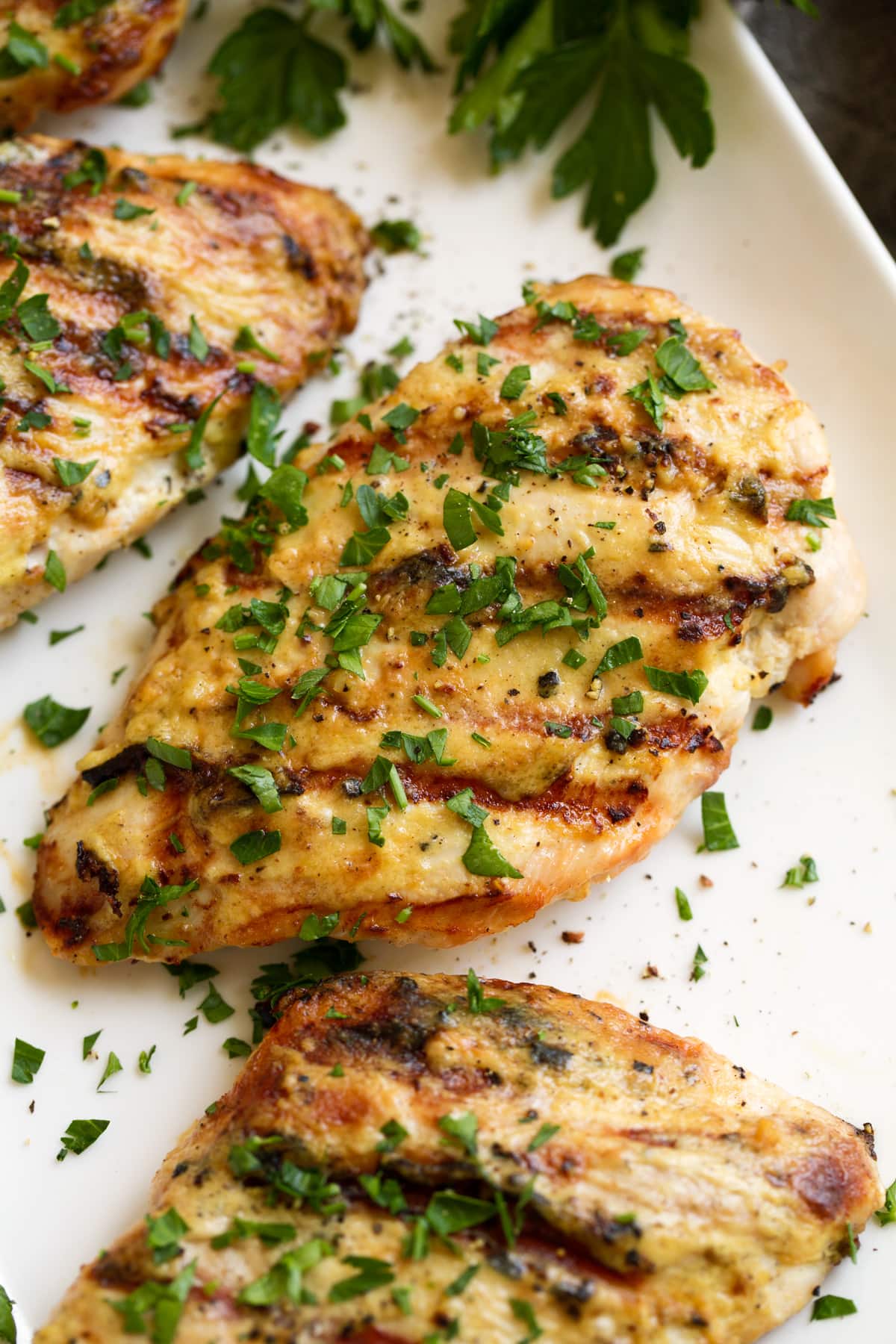 Garlic Dijon Grilled Chicken