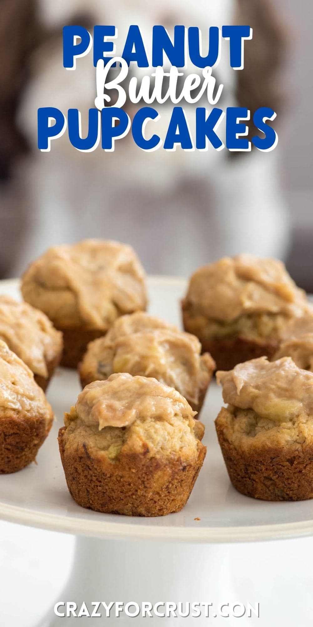 Peanut Butter Pupcakes