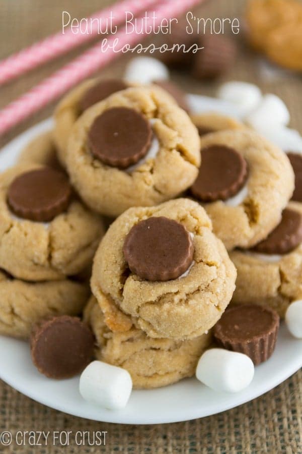 Peanut Butter S’more Blossoms
