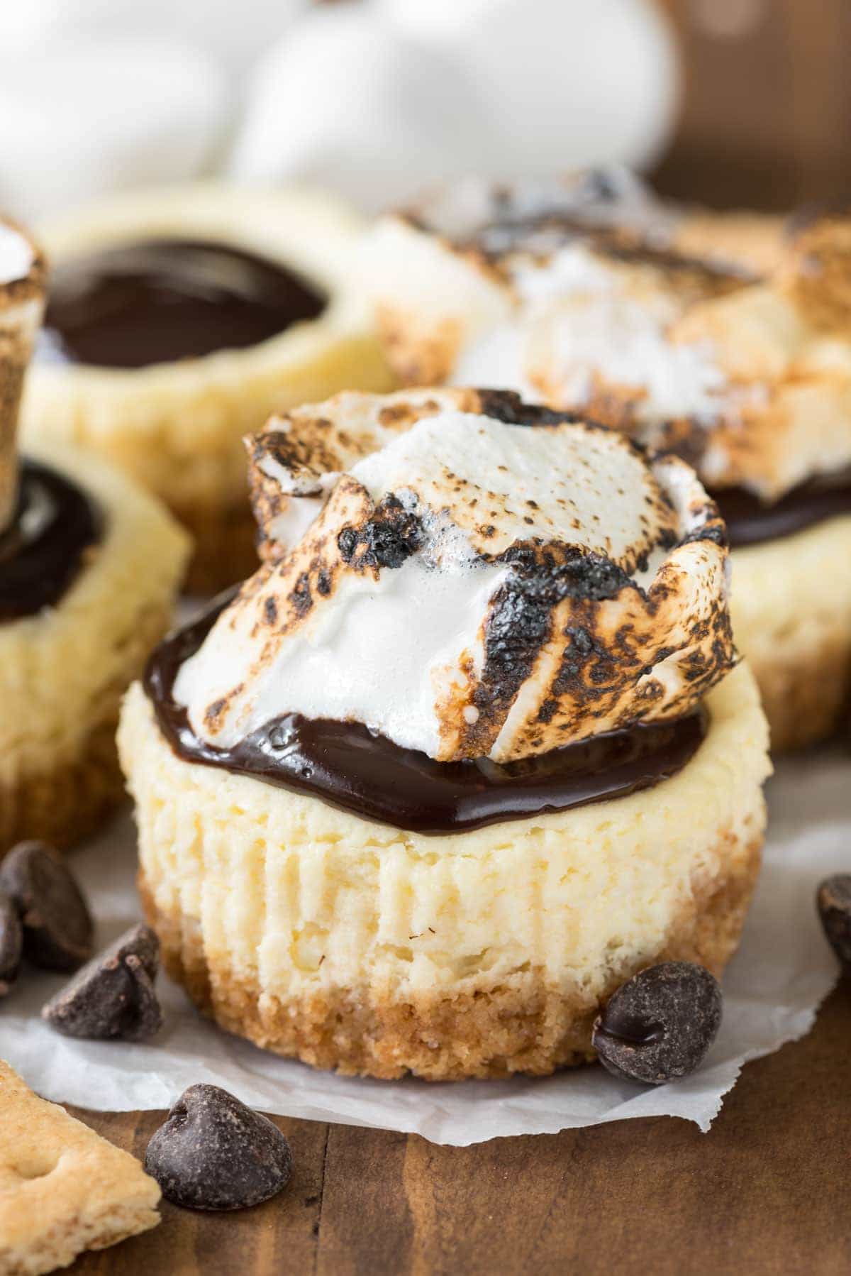Mini S'mores Cheesecakes