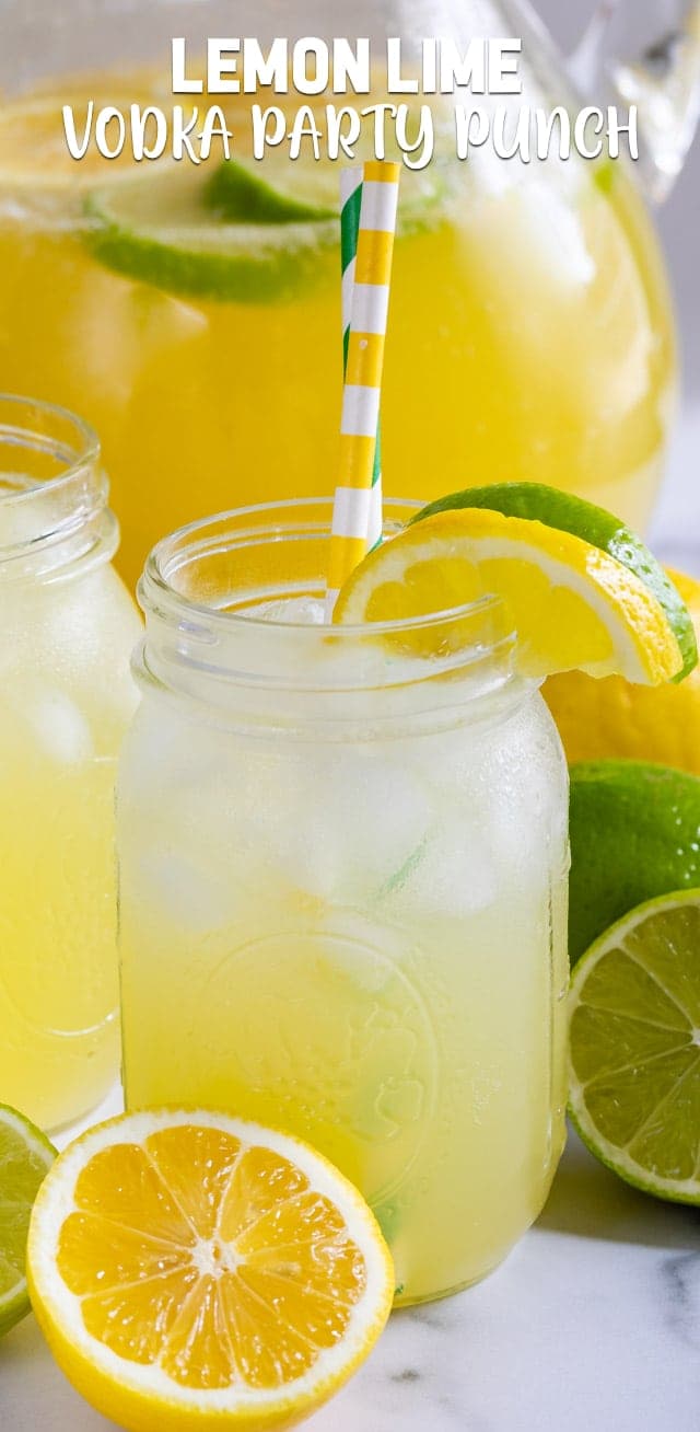 Lemon Lime Vodka Party Punch