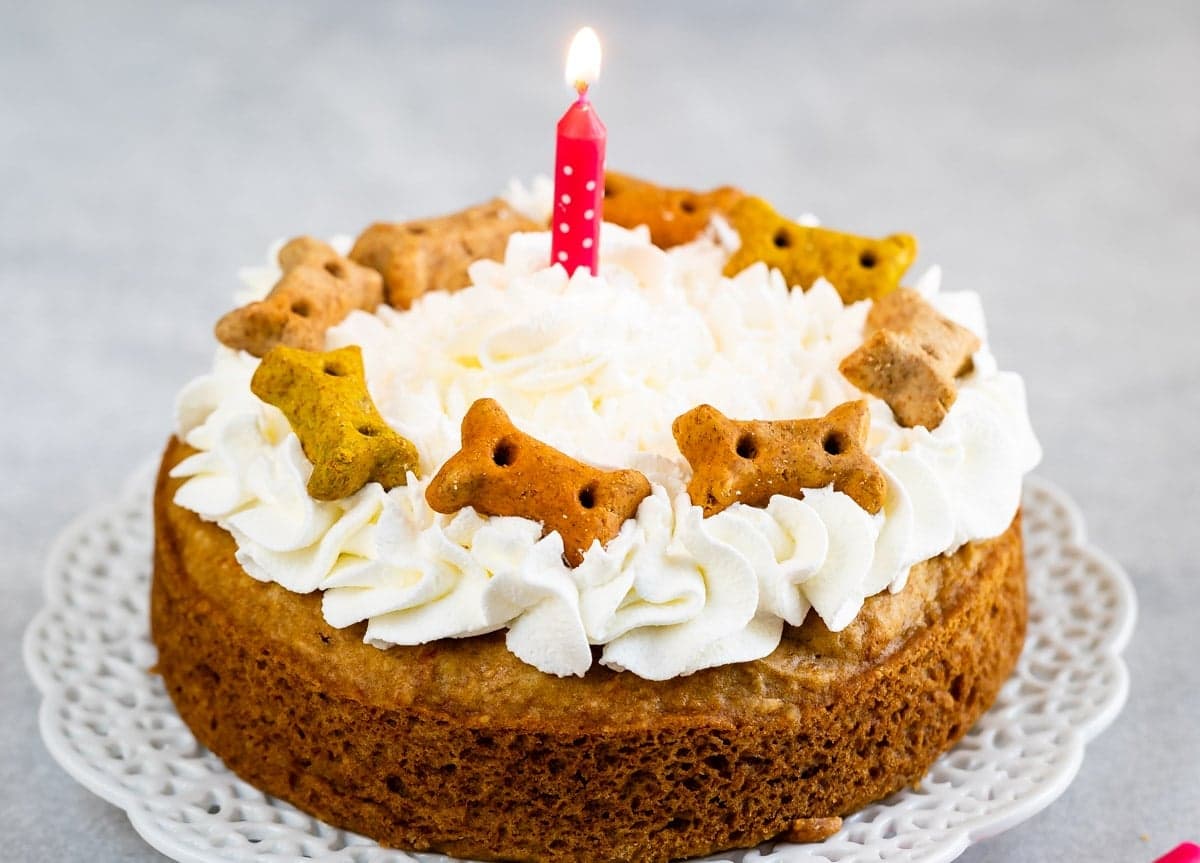 Homemade Dog Cake