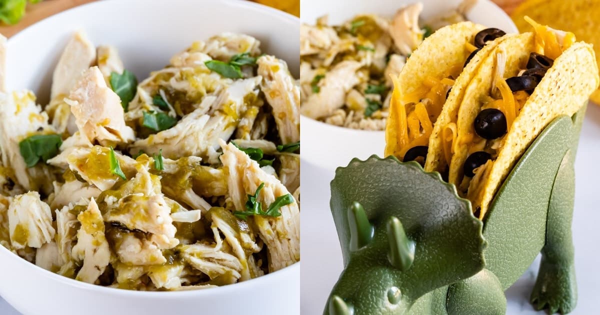 Crockpot Salsa Chicken