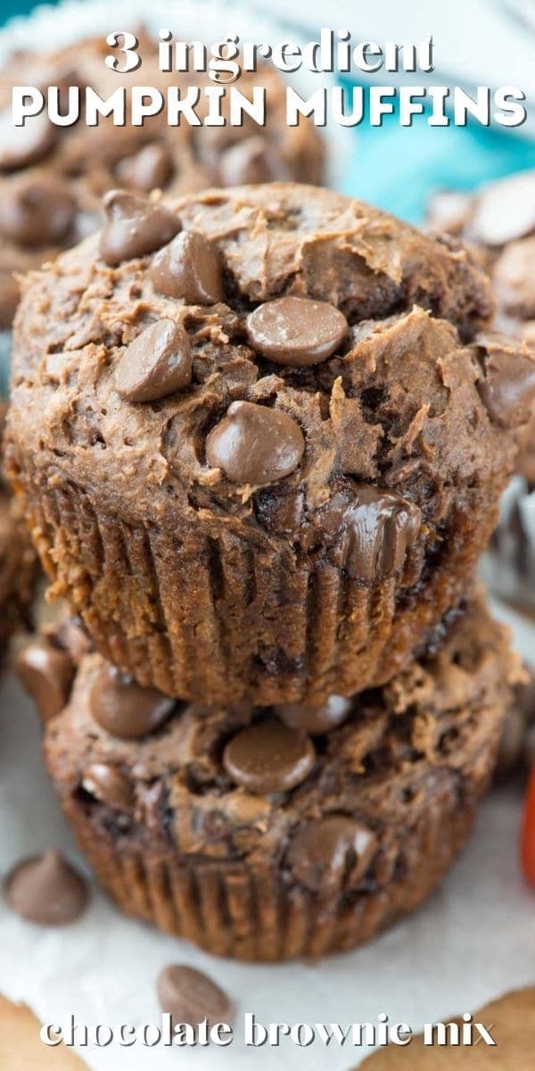 3 ingredient Chocolate Muffins Recipe