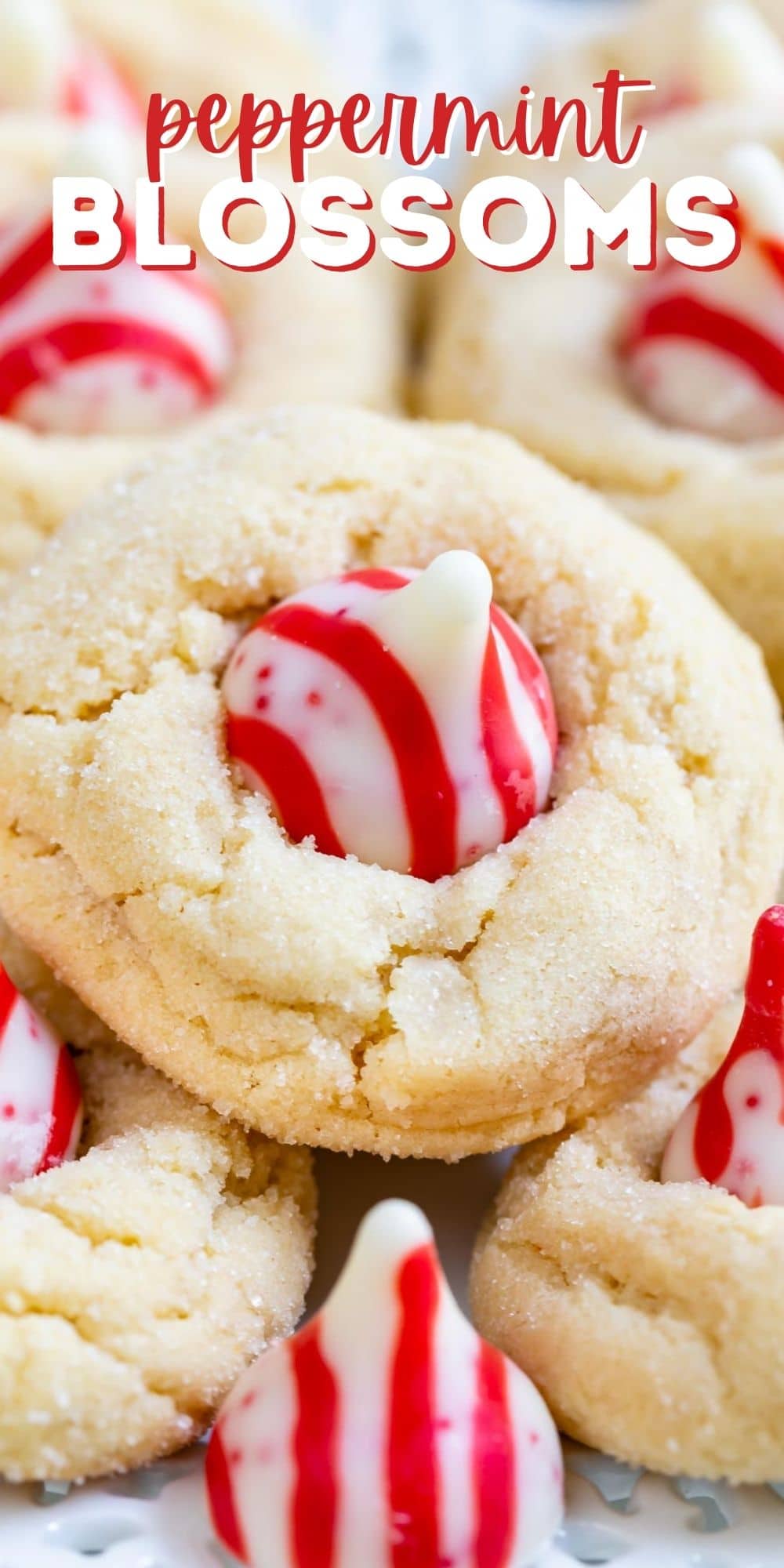 Triple White Chocolate Peppermint Blossoms