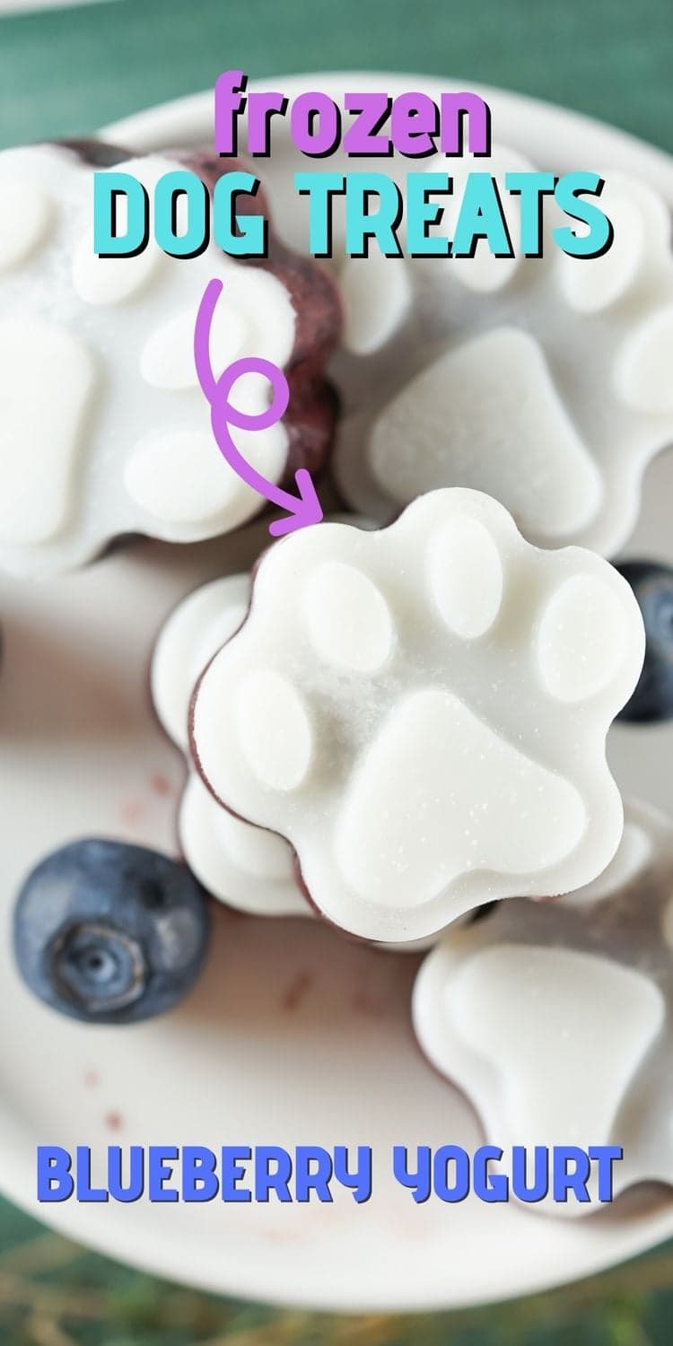 Blueberry Frozen Dog Treats
